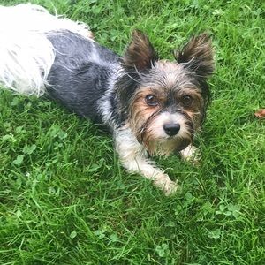 Meet your Posher, Paula